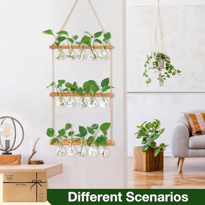 XXXFLOWER Wall Hanging Propagation Station 5 Bulb Vase 3 Tiers | Hanging Plant Holder Wall Hanging Planters for Indoor Plants, Wall Decor for Living Room Office - size: Natural-15 Bulb Vase