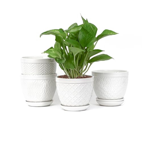 Sureasy Ceramic Indoor Plant Pots - 5.6 Inch Flower Pots for Plants with Drainage Hole and Saucer, Embossed Planter for Succulents, Orchid, Cactus, Indoor Home Decor, Set of 4, White - color: White, size: 5.6 inch