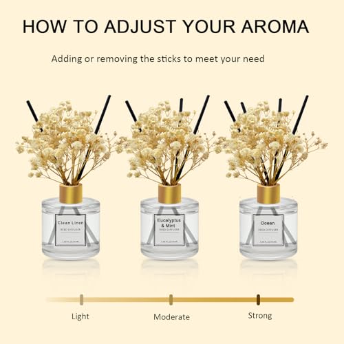 Reed Diffuser Set of 3 Pack,Clean Linen,Vanilla,Lemongrass Scented Oil Diffuser with 4 Sticks,Reed Diffusers for Home,Living Room,Bathroom Air Freshener Diffuser,50ml x 3