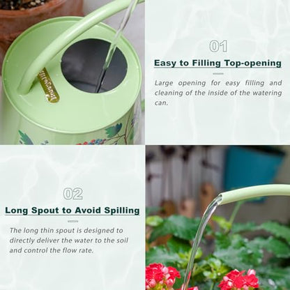 Berry&Bird 2L Long Spout Watering Can, Stainless Steel Water Can (Robin) | 2L stainless steel watering can, long narrow spout, elegant print, curved handle, leakproof, houseplant watering & decor - color: Robin