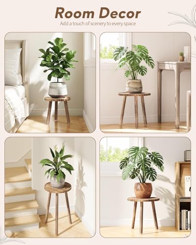 Plant Stand Indoor - 3-Pack Taller Single Wood Plant Stand for 6-12 Inch Pots, Mid-Century Modern Plants Stool for Large Plants, Small Round Wooden Planter Table for Living Room, Balcony