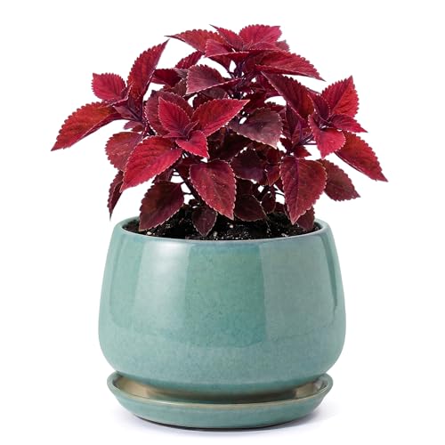 7.5 Inch Ceramic Planter with Saucer,Modern Garden Pots with Drainage Hole Mesh Net, for Indoor Outdoor Use (Blue-Green) - color: Blue-green, size: 7.5 Inch