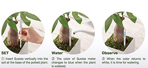 IPPINKA Sustee Aquameter, Bundle of 12, House Plant Soil Moisture Meter, Best for Indoor Potted Plants - Large Green Refillable