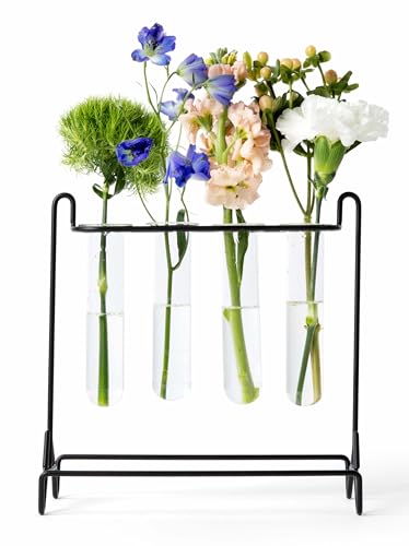 Grace River Propagation Station, Iron & Glass Planter, 8x8x8 inches, 4 Test Tubes, Indoor & Outdoor - color: Black