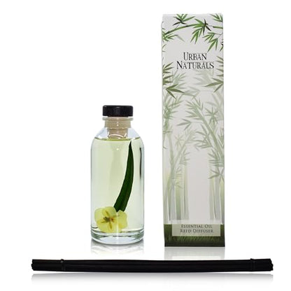 Reed Diffuser Set, Lemongrass Verbena - Bathroom Shelf Décor | (REFRESH and RENEW) Mind & Body Aromatherapy Collection, Essential Oil Botanical Room Scent - color: Lemongrass Verbena