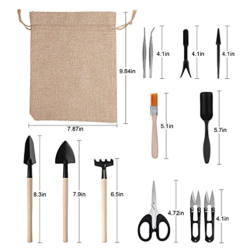 Haofy 13PCS Mini Gardening Tools Set for Succulents Planting Transplanting Tool Kit with Stainless Steel Scissor Tweezers Brush for Bonsai Indoor Plants
