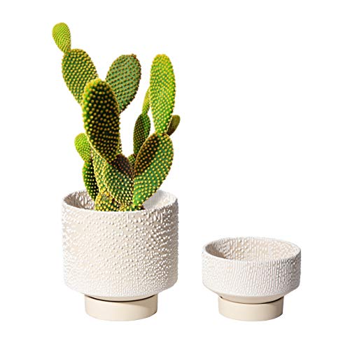 UBEE Planter Ceramic Flower Pot for Indoor Plants | 5.5 inch + 4.9 inch Plant Pots with Drainage Hole and Saucer for Aloe, Snake Plants, Pothos, Orchid, Beige with White Glaze Dot - color: Beige