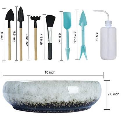 ARTKETTY Succulent Pots with Drainage - Large Succulent Planters with 2.2lb Mix Horticultural Lava Rock Pebbles, Planting Tools Set for Beginner- Shallow Bonsai Pot Ceramic Cactus Flower Plant Pot - color: White With Mix Lava Rock Pebbles