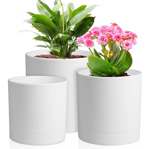 Meowell 6/5/4 inch Flower Pots, Pack of 3 Cylinder Plant Pots for Small Indoor Outdoor Plants, Plastic Planters with Drainage Holes and Saucers for Garden Succulent Nursery House Plants, White - color: White, size: 6"+5"+4"