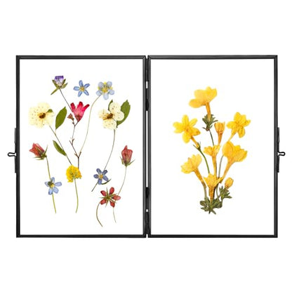 REDHUGO Glass Pressed Flower Frame Handmade, Rectangle, Black, 5×7 Inches | Hinged Double Press Flower Frame, Tabletop Brass Photo Frames, Rectangle Dried Flowers Display Folding Frames for Home - color: Black, size: 5L" x 7W"