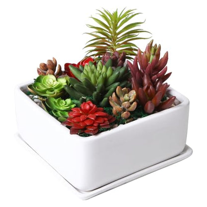 MyGift White Ceramic Square Planter Pot with Drainage Hole & Drip Tray | Suitable for Succulents, Cactus, Herbs, Bonsai, Houseplants & Floral Arrangements - color: White