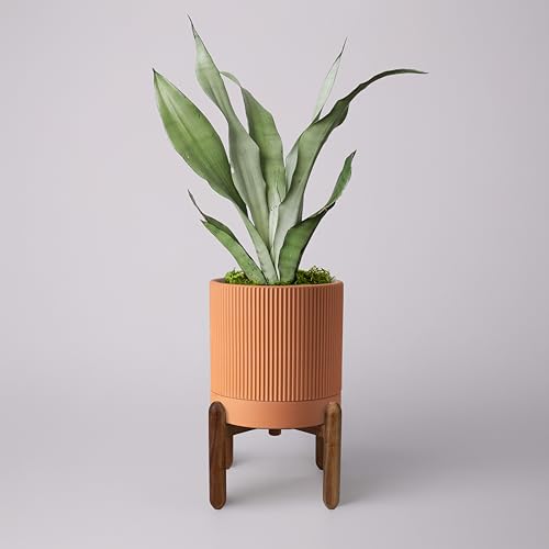 Large Terracotta Pots, 8 Inch Clay Planter Pots with Drainage Hole & Saucer (with Stand), Garden Planters for Indoor/Ourdoor Plants, Cactus & Snake Plant - color: Terracotta, size: 8 Inch