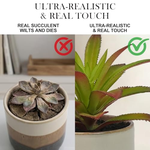 Small Artificial Plants in Pots, Set of 3 Faux Succulents | Mini potted greenery in glossy ceramic pots. Lifelike, maintenance-free shelf, desk & living room decor accessories