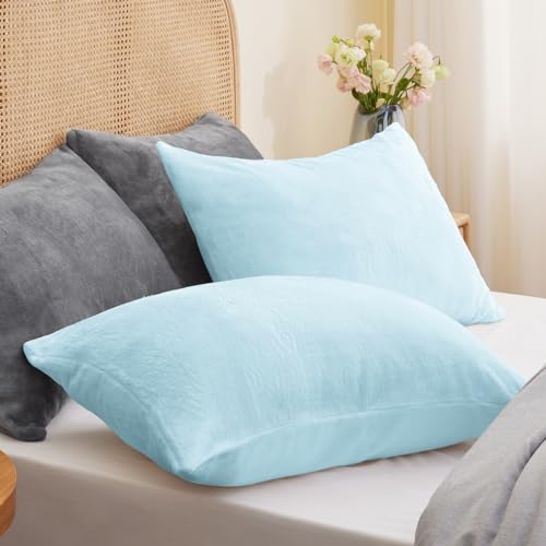 BEDELITE Flannel Pillowcases Standard Set of 2, Blue, 20x26 Inches | Super Cozy Fuzzy Velvet Pillow Shams with Zipper Closure, Soft Fleece Pillowcases for Bedroom, Sofa, Couch, All-Season Use - color: Blue, size: 26" x 20" (Pack of 2)