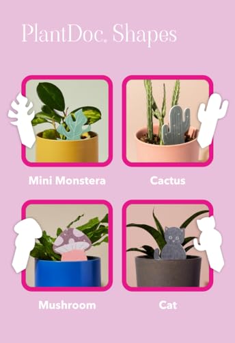 Paper-Based Soil Moisture Meter for Houseplants – Know When to Water, Prevent Overwatering – 5 Pack (PlantDoc Cactus) - style: Cactus PlantDoc - 5 Pack