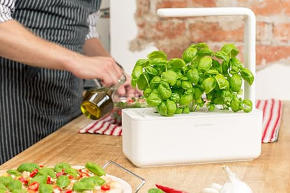 Click & Grow Indoor Herb Garden Kit with Grow Light | Smart Garden for Home Kitchen Windowsill | Easier Than Hydroponics Growing System | Vegetable Gardening Starter (3 Basil Pods Included), White | Easier than a hydroponic growing system. Patented Smart