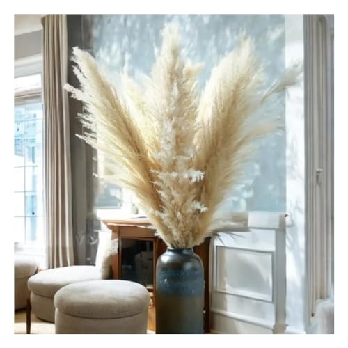 ECYC Ltd 3 Pcs Tall Dried Pampas Grass for Floor Vase, 23.62 inch Natural Dried Pampas Grass Bouquet Fluffy Large Pampas Grass Dried Plants Pampas Flowers for Home, Farmhouse, Wedding, Party Decor - color: Natural Color, size: 3 Pcs