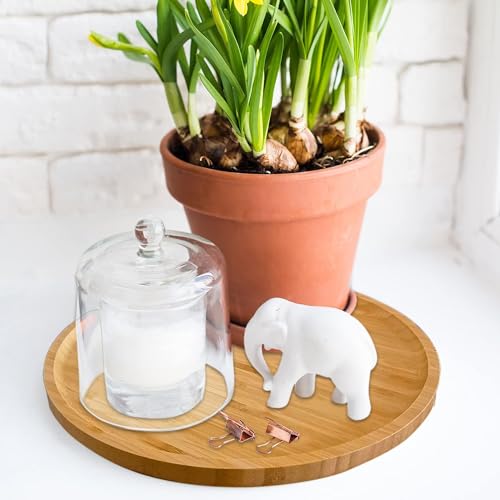 2 Pack Bamboo Saucer, 10.5 inch Plant Saucer, 10" Cactus Plant Tray, Round Bamboo Tray for Modern Ceramic Flower Pot, Planter Pot Tray, Also Use Cup Holder, Spoon Holder, Kitchen Utensil Rest - size: 10.5 Inch