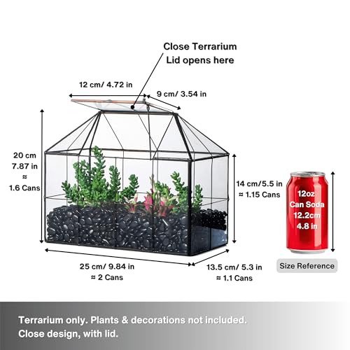 NCYP Glass Terrarium Planter with Lid for Small Succulent Plants, Grid House Shape Black Geometric Terrarium Pot, Home Garden Indoor Tabletop Decor, 9.84" x 5.31" x 7.87" (No Plants)