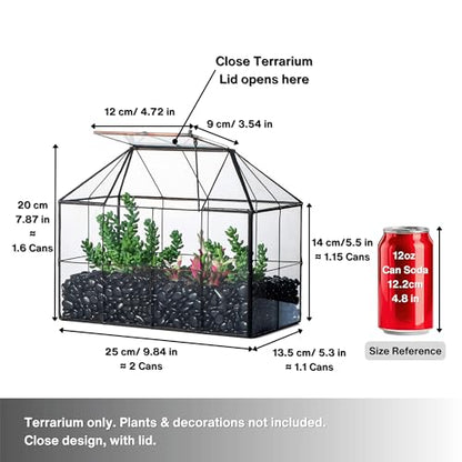 NCYP Glass Terrarium Planter with Lid for Small Succulent Plants, Grid House Shape Black Geometric Terrarium Pot, Home Garden Indoor Tabletop Decor, 9.84" x 5.31" x 7.87" (No Plants)