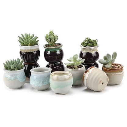 T4U Small Ceramic Succulent Pots with Drainage - Set of 12, Mini Pots for Plants, Home and Office Decor, Plant Lover Gifts for Women | Planters with Drainage, for live cactus plants, bonsai starter pots, indoor windowsill decor, office desk top accents -