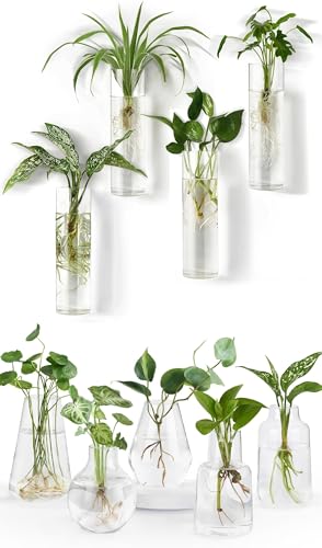 Mkono Propagation Station Wall Planter Hanging Glass Tubes Flower Vase Set