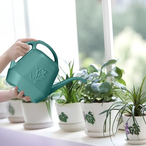 Plastic Watering Can - 1/2 Gallon - Green | With Long Spout for Watering-Home Indoor and Outdoor Garden - color: Green