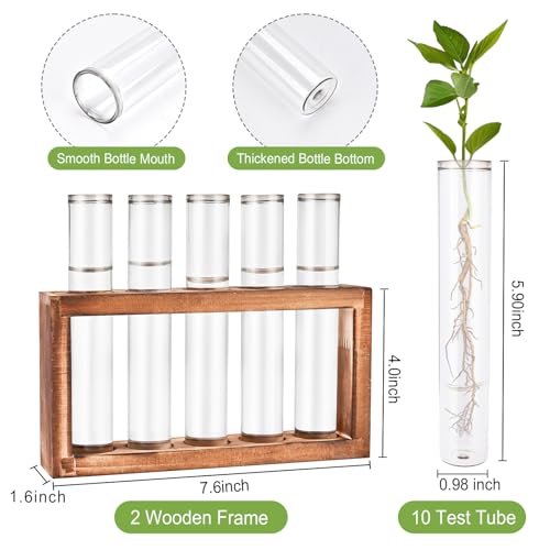 Tigvio 2pcs Desktop Glass Plant Propagation Station (10 Tubes) | with 10 Test Tubes in Wooden Stand, Hydroponic Plants Cutting Office Home Decoration and Garden Decor Terrarium - size: 10 Tubes