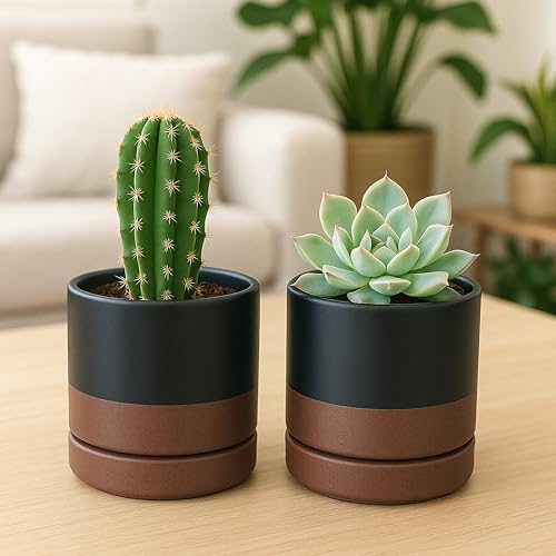 D'vine Dev 4-Pack Ceramic Pots with Saucers, Black/Tan, 4.7 in, 94-X-B-7 | Glazed Ceramic, Drainage Hole and Saucer, Sleek Cylinder Shape, High Temperature Fired, Ideal for Small Houseplants - color: Black/Speckled Tan, size: 4.7 Inch