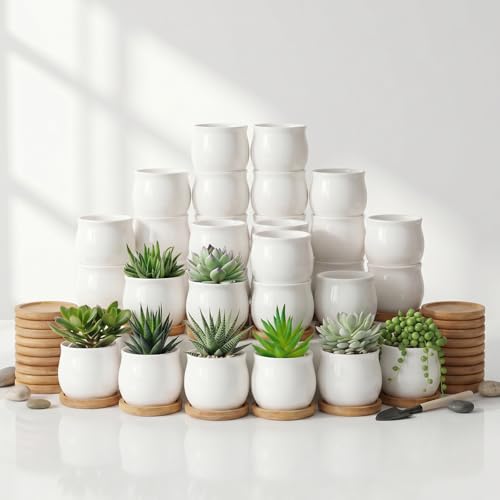SHECIPIN 24 Pcs 2.5 Inch Small Succulent Pots with Drainage & Bamboo Trays - Assorted Small Succulent Planters Bulk for Home Office Garden Decor - color: 24pcs White