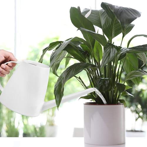 Plastic Watering Can - for Indoor and Outdoor House Plant Garden - with Long Spout - 1/2 Gallon - White - color: White