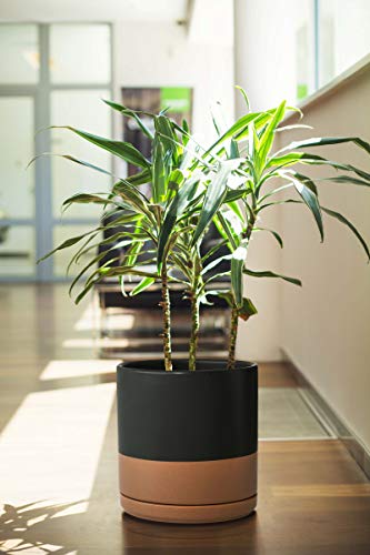 D'vine Dev 8 Inch Ceramic Planter Pot, Black/Tan, 94-O-D-7 | Modern Cylinder Design, Drainage Hole & Saucer Included, Stable Structure, Elegant Home Accent - color: Black/Speckled Tan, size: Medium