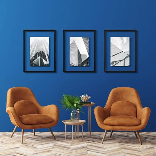 ONE WALL 18x24 Floating Frame, Black Wood Double Glass Float Picture Frame | Display 11x14/11x17/12x18/13x19/16x20 Photos or Plant or Petal Specimens for Wall Hanging, Mounting Kit Included - size: 18X24