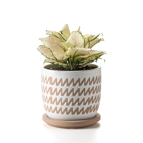 Ceramic Flower Pots Indoor-Outdoor: 5.75 Inch Planters with Drainage Holes & Saucer - Modern Decorative Plant Pots Ceramic for Home Gardeners (Wave) - color: Wave, size: 5.75 inch