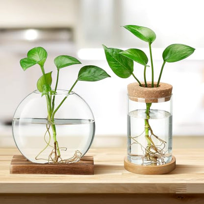 Layhit 4 Pcs Plants Propagation Stations vases Glass Planters with Wooden Lid and Bamboo Stand for Hydroponic Plants Gardening Gifts for Women Mom Home Office Tabletop Decoration(Novelty Style) - style: Novelty Style