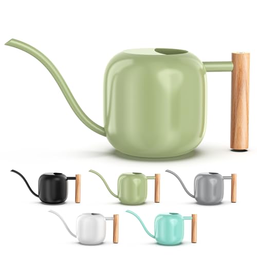 1.2L/41oz Metal Metal Watering Can with Long Spout, Sage Green | Metal Stainless Steel Watering Can for Indoor Plants, House Bonsai, Succulents, and Garden Flowers, Decorative Watering Cans - color: Sage Green