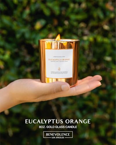 Benevolence LA Premium Eucalyptus Orange Scented Candle – Long-Lasting, 45-Hour Burn – Luxury Natural Soy Wood Wick Candle for Home – Aromatherapy & Room Decor – 8oz - size: 8 oz - 1 wick