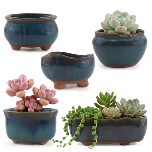 Ceramic Succulent Garden Pots Small Plant Planter Container with Drainage Set of 5 for Home Office Decor - color: E 5-piece Set