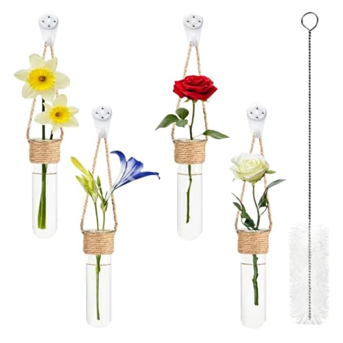 Propagation Tube, with Wall Mounted Design, 4 Piece Glass Plant Tubes | Clear Wall Terrarium, Hydroponic Plant Holder, for Home Décor
