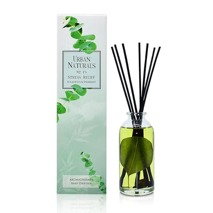Reed Diffuser Set, Eucalyptus Spearmint - Stress Relief | Fragrance your Space, Fresh Scented Room Freshener and Home Decor, Home Gift Idea. Vegan - color: Eucalyptus Spearmint