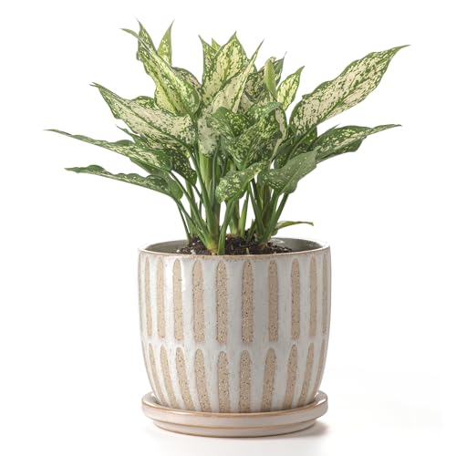 Ceramic Flower Pots Indoor-Outdoor: 7.75 Inch Large Planters with Drainage Holes & Saucer - Modern Decorative Plant Pots Ceramic for Home Gardeners (Striped) - color: Striped, size: 7.75 inch