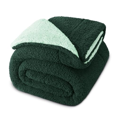 Exclusivo Mezcla Reversible Twin Size Sherpa Blanket, Thick and Warm Fleece Blankets for Winter, Soft Plush Fluffy for Bed, 60x80 Inches, Forest/Mint Green | Soft Plush Cozy Bed Blankets for Sofa, Couch, Fluffy Decorative Thick Throws for Living Room, For