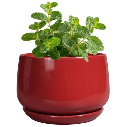 G EPGardening Ceramic Pots for Plants - 4 inch Succulent Pots Indoor Outdoor, Small Planter with Drainage Hole & Tray, Modern Flower Pot, Decorative Round Planter, Living Room Decor, Home Gifts, Red - color: Red, size: 4 Inch