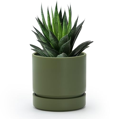 Phoenix Vine 4 Inch Planter Pot with Drainage Hole & Saucer, Deep Water Catch Tray, Straight Cylindrical Round Pot for Plants, Olive, Pack of 1, 23-D-R-1 - color: Olive, size: 4" (1 Pack)