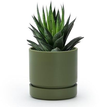 Phoenix Vine 4 Inch Planter Pot with Drainage Hole & Saucer, Deep Water Catch Tray, Straight Cylindrical Round Pot for Plants, Olive, Pack of 1, 23-D-R-1 - color: Olive, size: 4" (1 Pack)