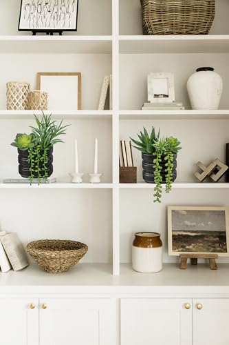Fake Succulents in Ceramic Pots Dual Use Artificial Succulents Arrangement in Black Vase Hanging Succulents Plants Artificial Small Fake Plants for Desk Office Decor Faux Succulents Desk Plant-2