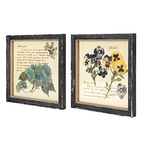 NIKKY HOME Botanical Wall Art Set of 2, Vintage Wood Framed Prints 10"x 10" | Decorative Dried Floral Picture with Glass Front, Elegant Flower Rustic Black Wooden Frame Decor for Bathroom Bedroom Hallway - color: Picture-01