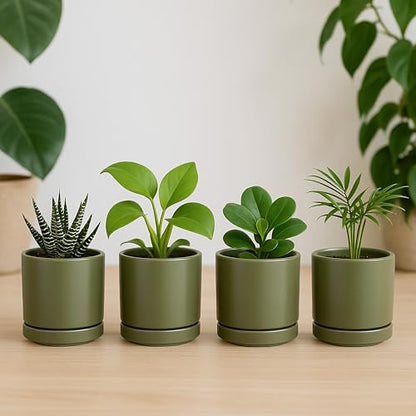 D'vine Dev 4-Pack Ceramic Pots with Saucers, Olive, 3.5 in, 94-X-A-0 | Glazed Ceramic, Drainage Hole and Saucer, Sleek Cylinder Shape, High Temperature Fired, Ideal for Small Houseplants - color: Olive, size: 3.5 Inch