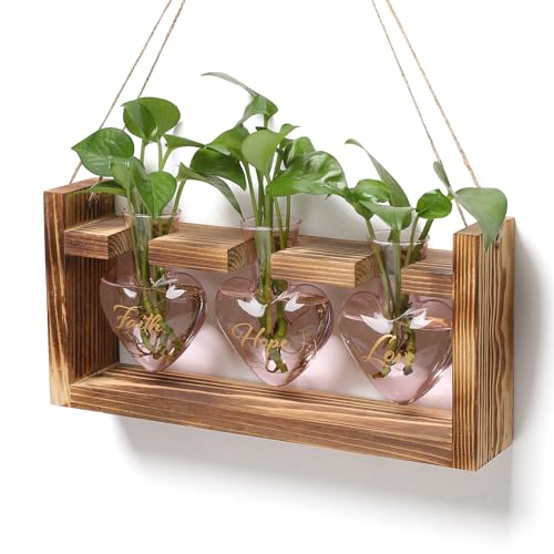 Plant Terrarium Propagation Stations Hydroponics | Home Garden Decoration Gift for Women with Wooden Stand Heart Shaped Colored Glass Vase - color: Pink(Faith Hope Love)