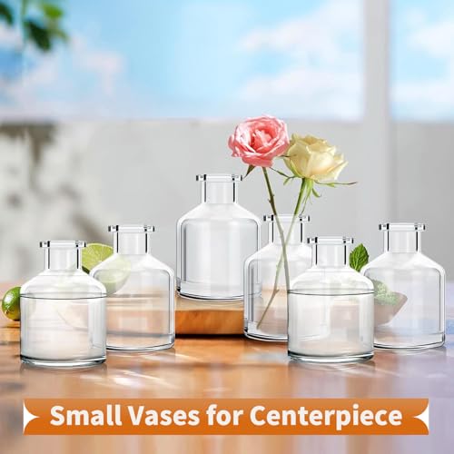 6 Pcs Bud Vases, Clear Glass Bud Vase, 2 x 2.75 Inch | Mini Flower Vases, Small Living Glass Vase Bulk for Flowers, Centerpieces, Home Table Decor, Living Room, Office Decor